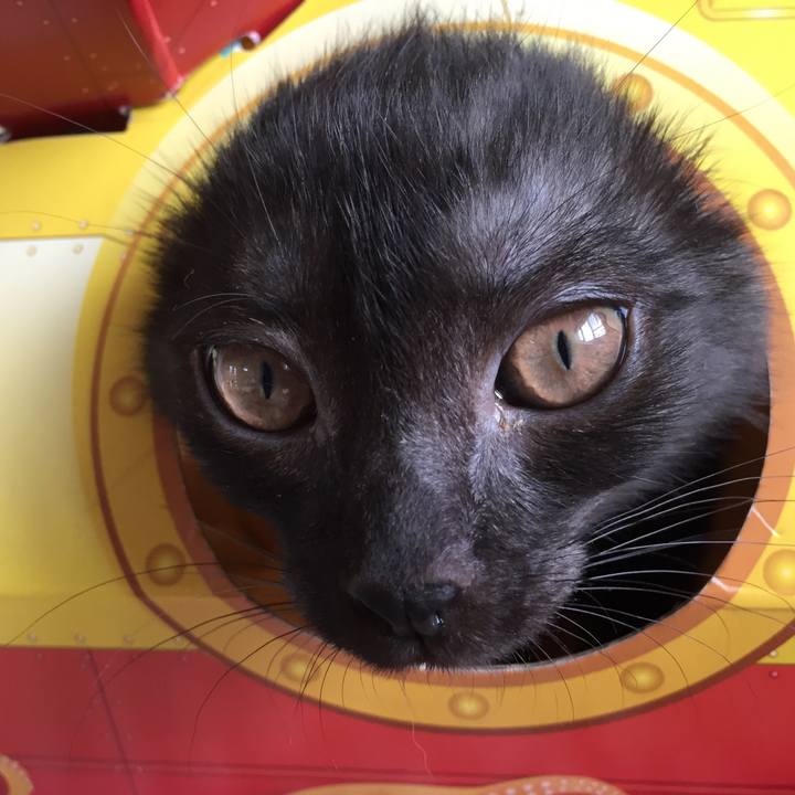 Fa03e6f9 2787 4422 900a 427d8ba3e79d