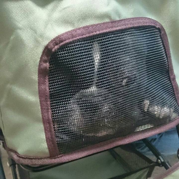 Fa03fc9d 89bf 4a27 89f3 3f9fc869b0c9