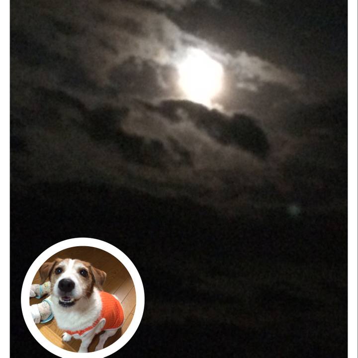 Fa041d2b 8847 4a29 a92c ab34c6143ec6