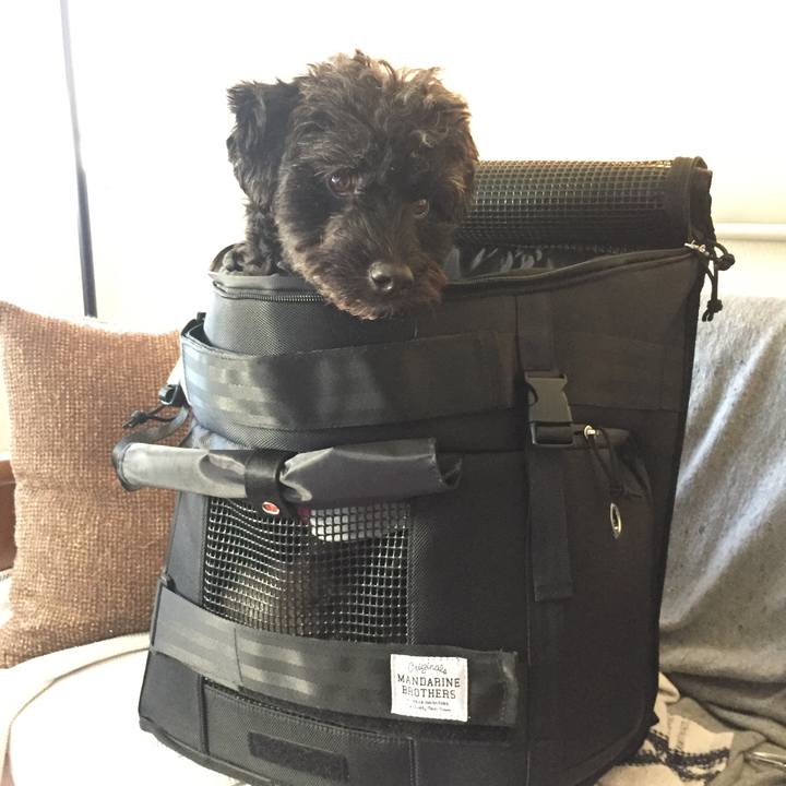 Fa04f6e0 cd25 4b6d 91e2 d00340a486e4