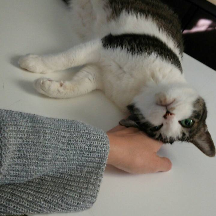 Fa05c4fd 0a20 4a6b 8d31 f1aa0b6359b9