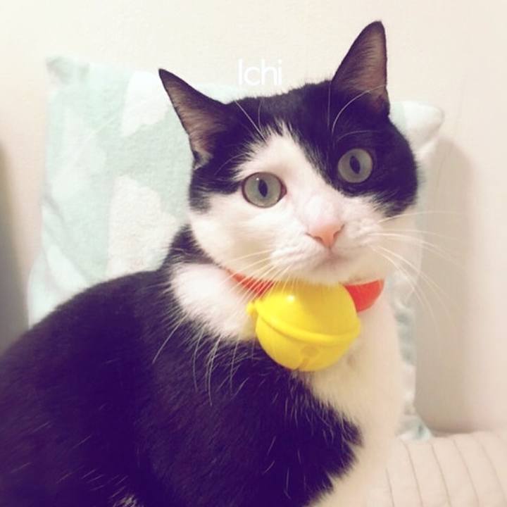 Fa06b19e cdc5 496b bf00 fd11a08c659a