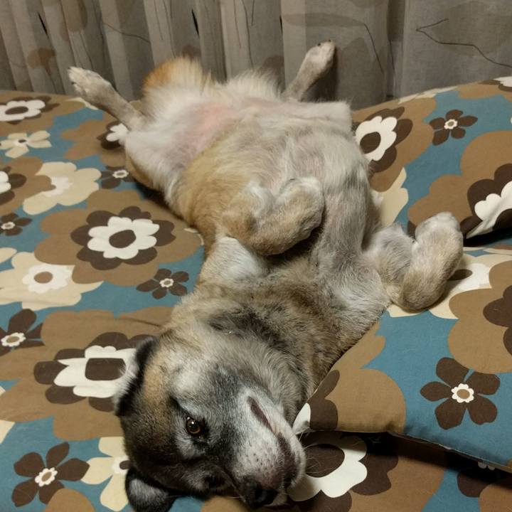 Fa074375 8f1b 49a9 891b 5aee962c248d