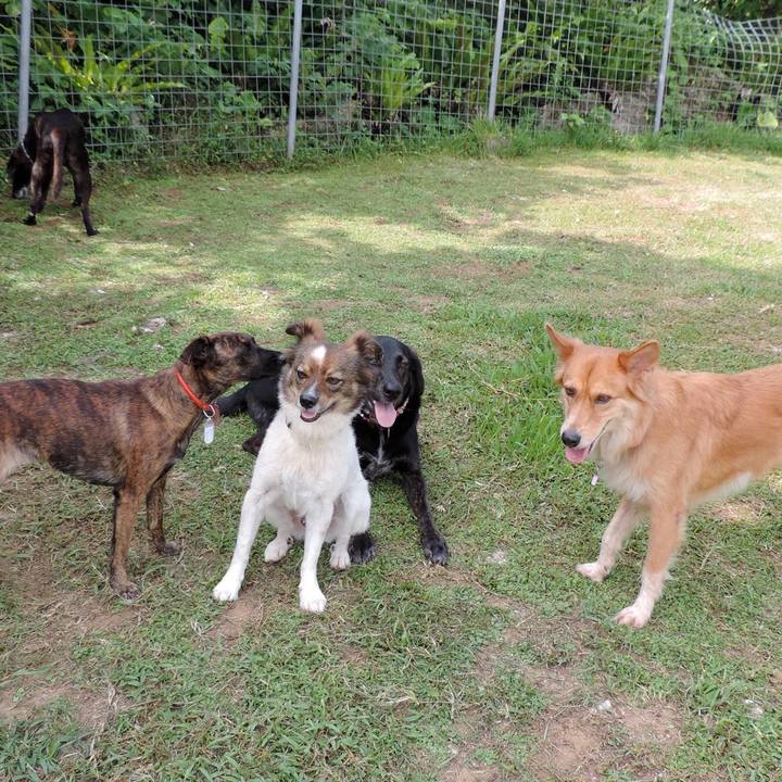 Fa076ae5 d33a 4d00 95b6 bc277b8fa21e