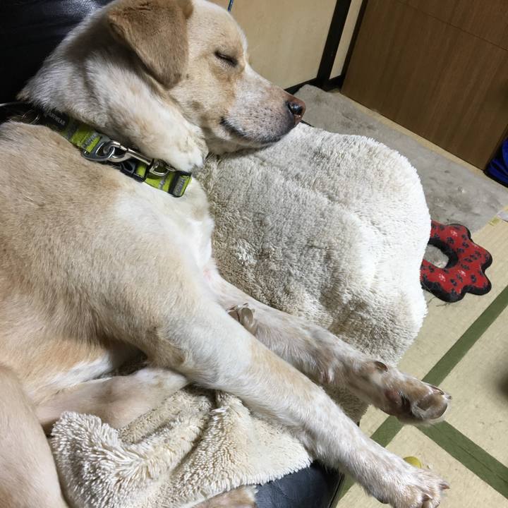 Fa077ccc 89a7 4f84 bebf ba51ae9fc0af