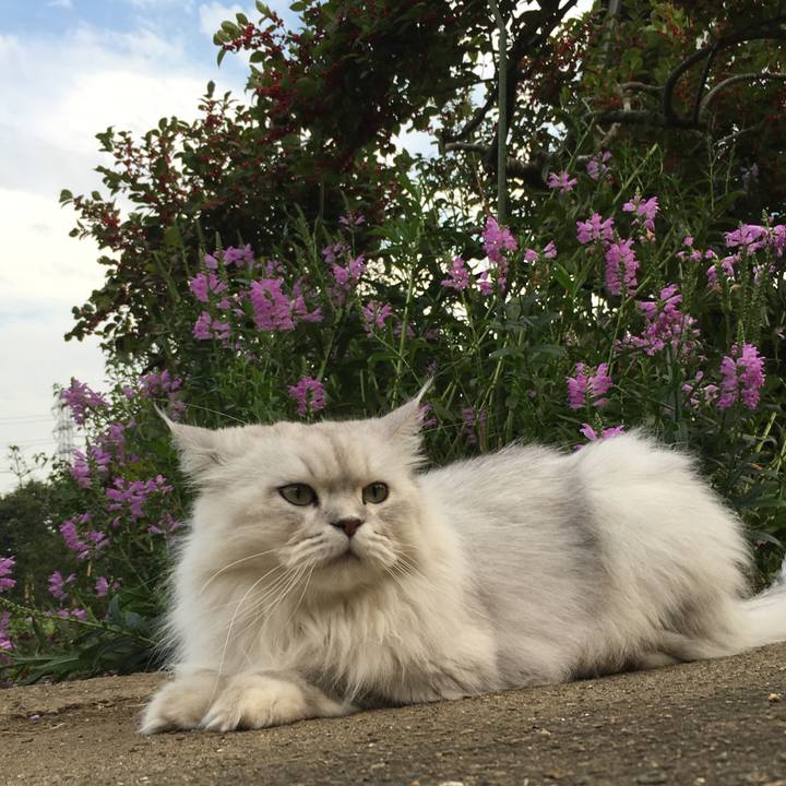 Fa07ec2c 38b2 477b b2c6 1faf7f6efff8