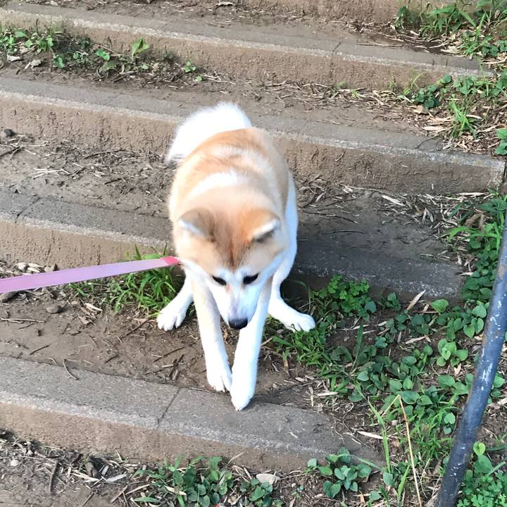 Fa07ee7d 06ca 4257 b93a 66035f4f4025