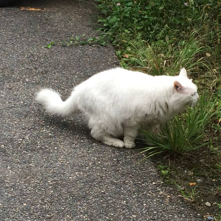 Fa07eeae 7f67 4579 8f94 f2b42353202a