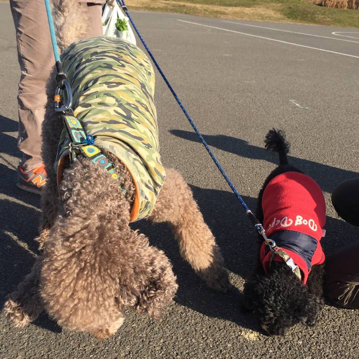 Fa087ff4 6069 425b 95e8 c264149da208