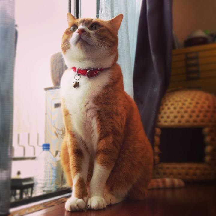 Fa08c1b9 34df 421f a8dc f5bd3fe74c93