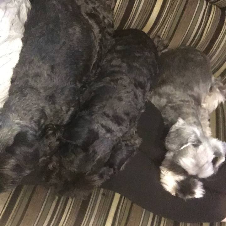 Fa08cbb7 f988 4e9b 8a02 1a774daa098f