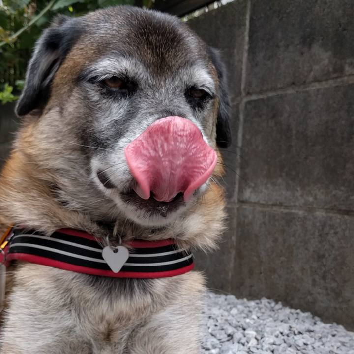 Fa091ccb 374a 4d92 b218 9bc7966e1840