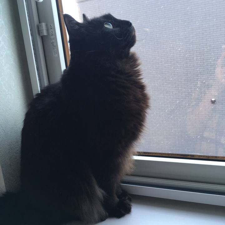 Fa0961f0 25cb 4845 bc2e 7d6accaba35d