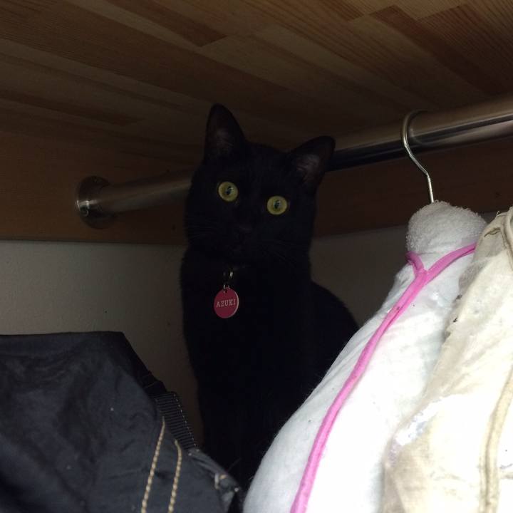 Fa09f4e0 c9d9 482f 80e2 d12ee5041be6