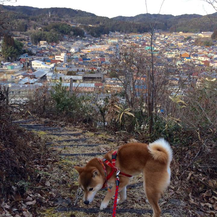 Fa0a04b9 b15a 46e8 a414 004b477ee1c9