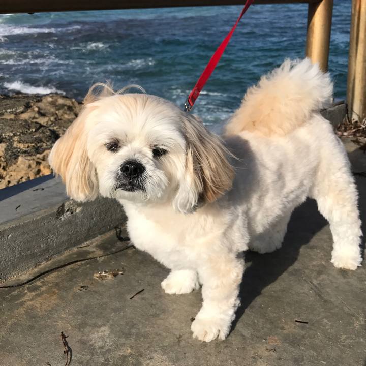 Fa0a364f 13a3 4528 9400 e0adf69dca6d