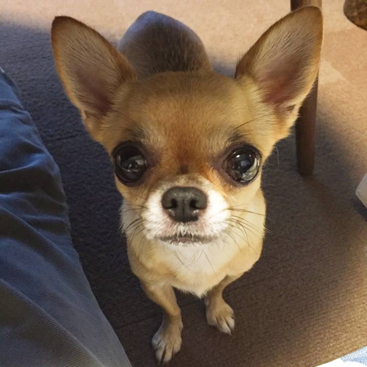 Fa0a42f4 e544 45ff 8c73 d416cc6a3a36