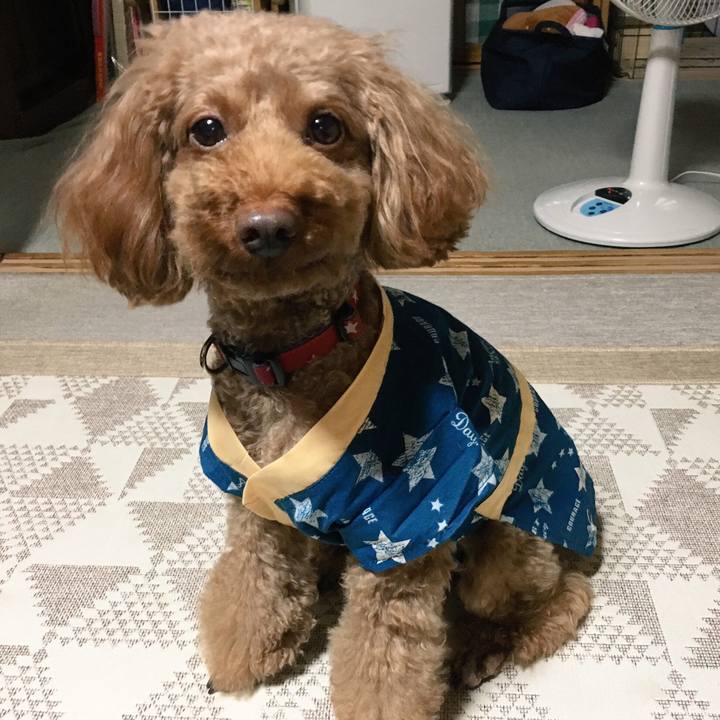 Fa0a6aaa 7239 448d a71b c284fb102b66