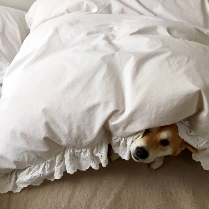 Fa0ac6ea 95d1 4026 964a 19eb1210e8a1