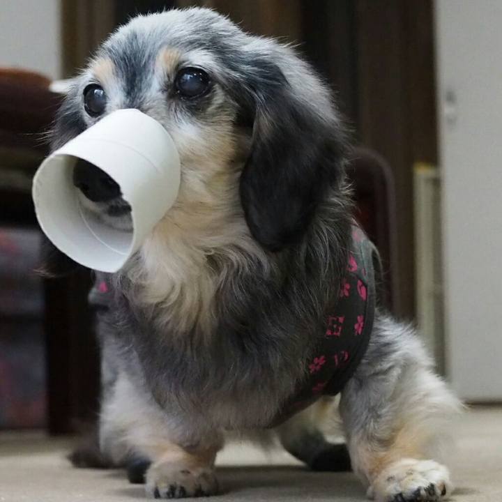 Fa0bcec1 528a 4b29 b8ed 39269b248e48