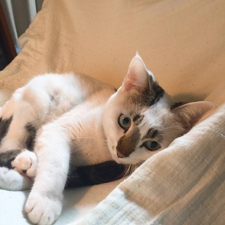 Fa0c107a 49be 4ec9 8fb1 5237365567c6