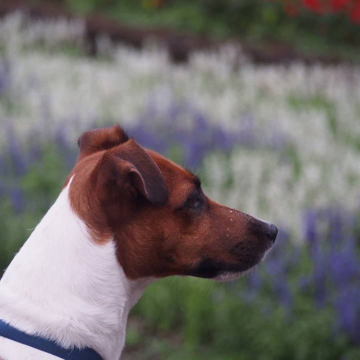 Fa0c3a00 1d75 47eb a09c 0e611fee6c64