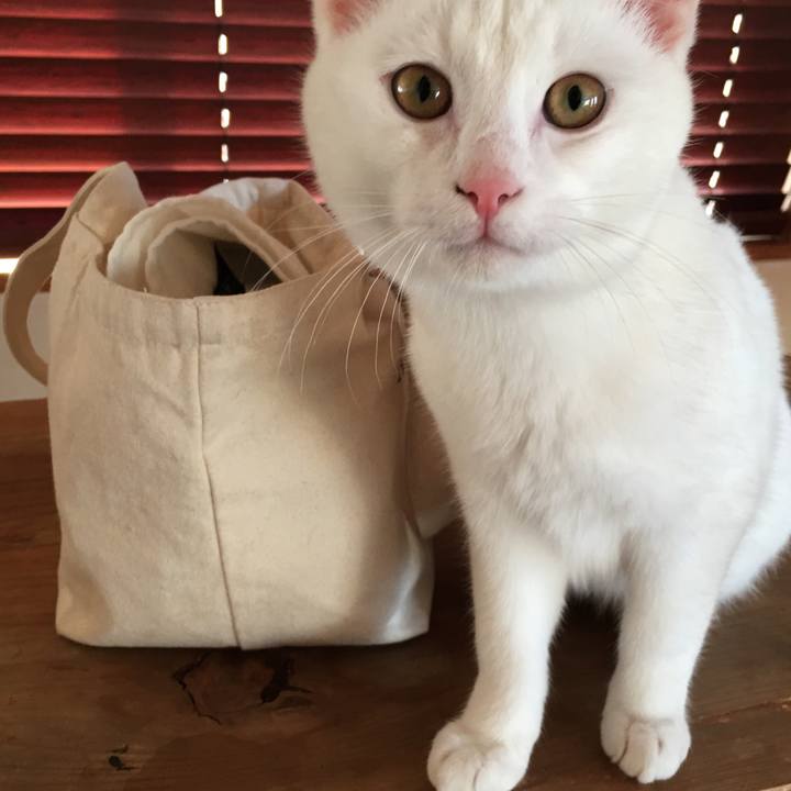 Fa0c8e56 35d3 47fc 8a09 07c93ec3c650