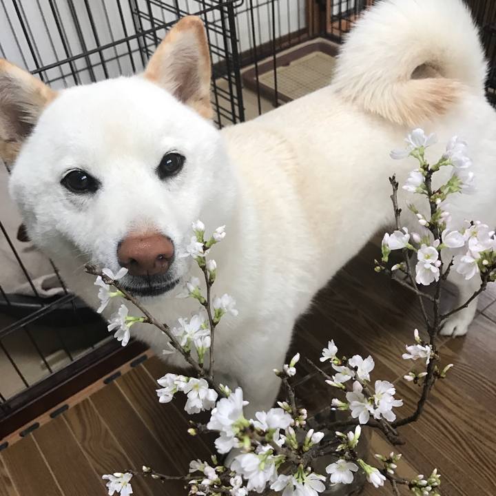 Fa0ca360 557d 4f1f b06a beb783e961f6