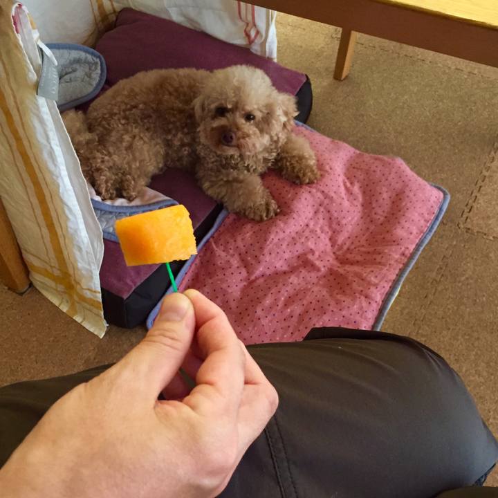 Fa0cd26c 4db7 4932 9cd5 6f347028756c