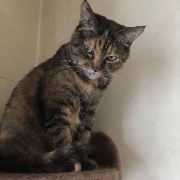 Fa0ecc1a 01c0 4471 a75b 930f103a46fb