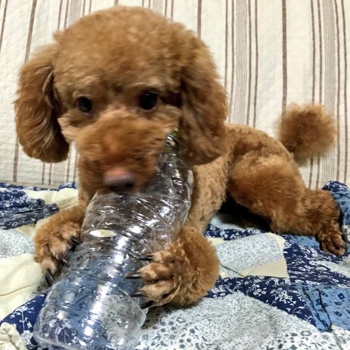 Fa0f5014 4b57 4bd7 b06a 64002b7da900