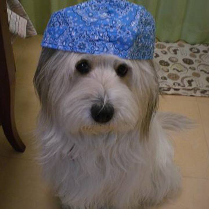 Fa108a5f e315 49ae 8f5e 41046fb7f1c5