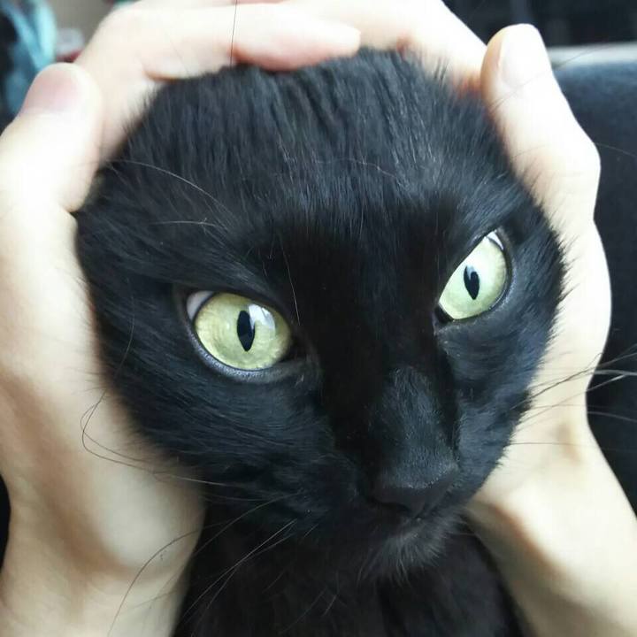 Fa111368 1f32 47ae 90f2 99a9173e7d22