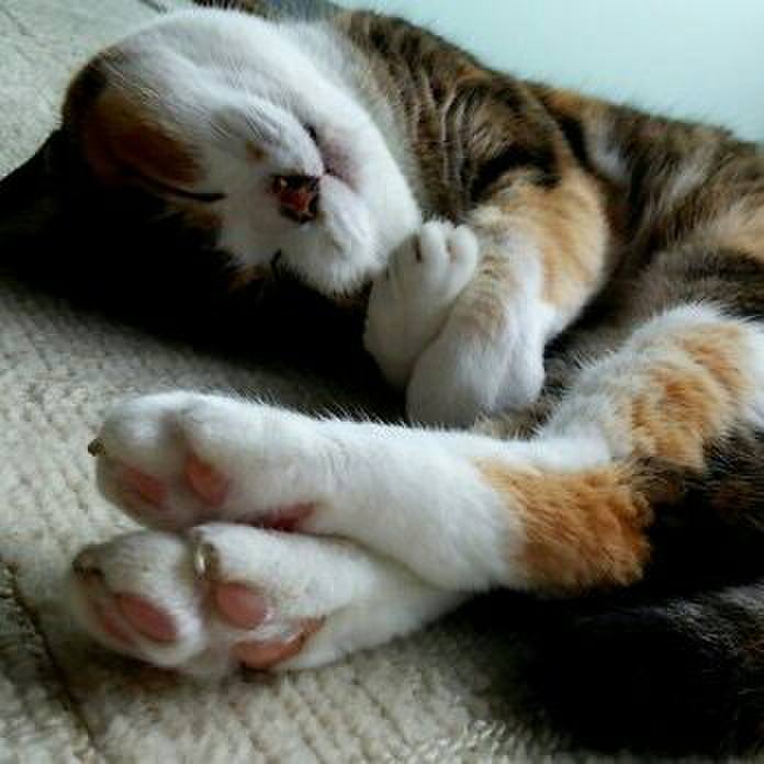 Fa1121a7 af02 4a07 9dea 6cdf9ce31eeb