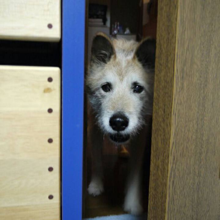 Fa112ec6 d281 4562 a876 7584f2472e14