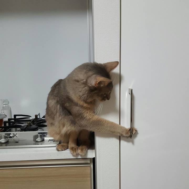 Fa11da59 e194 4879 b616 a72ce2e3ea67