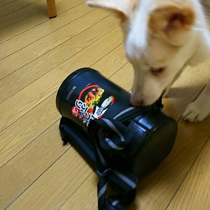 Fa11e045 42cd 4c23 bbdb e2121525136d