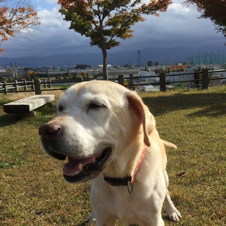 Fa11eab0 9141 43ec a0b0 f9b8335adafa