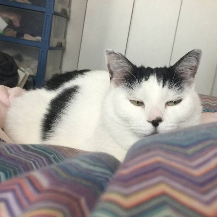 Fa12d0b4 8b67 4a1d ae3f 9b0c846414e7