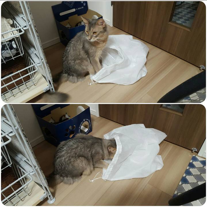 Fa136025 d754 4a24 ad7d 2d418eabe17c