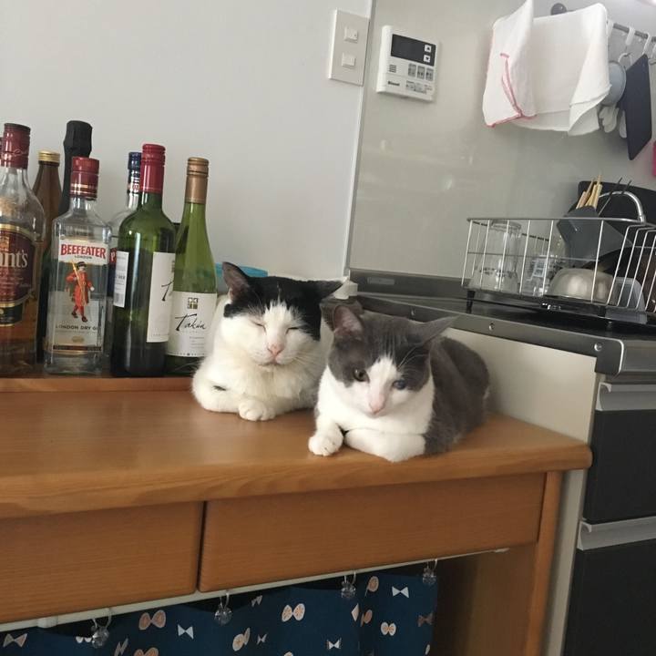 Fa137eac 5d7b 435c a06f 96e0d1b49d5d