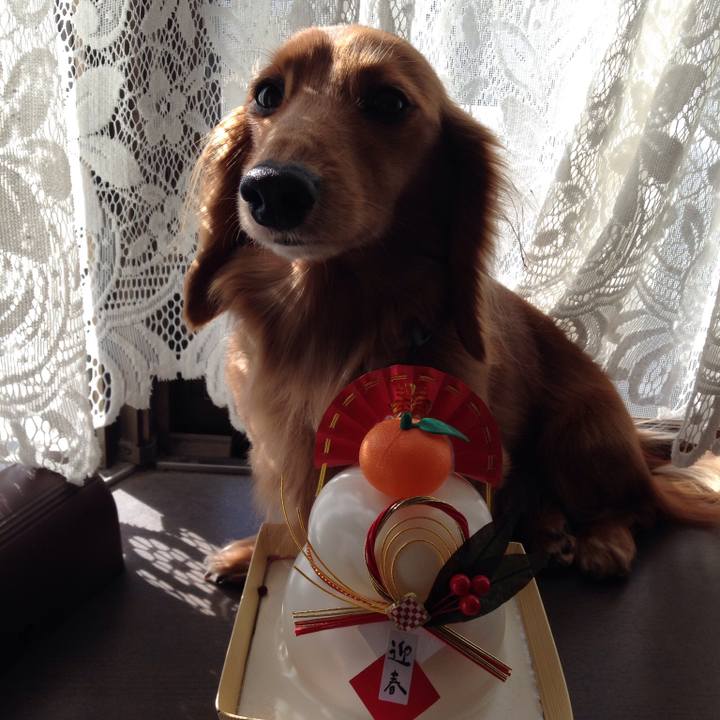 Fa13d315 dc00 4e9c a19e 843c91a583d9