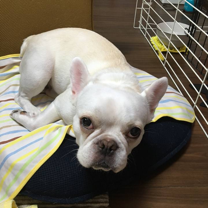 Fa13e1d1 ae17 4668 8e82 b77c22f98351