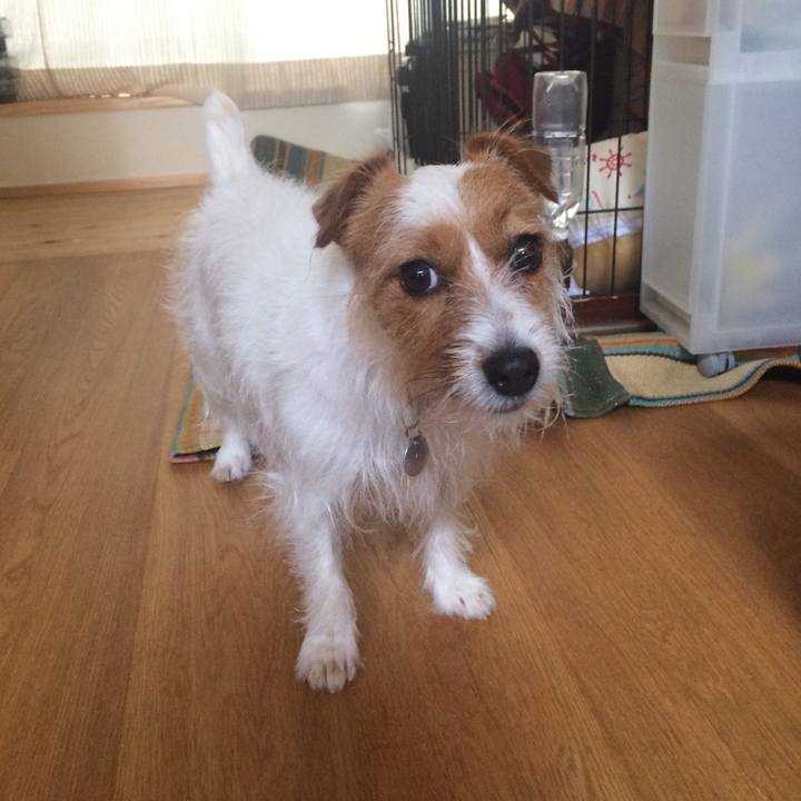 Fa1433a6 589b 4c1b 96f0 17f882fa8fd2