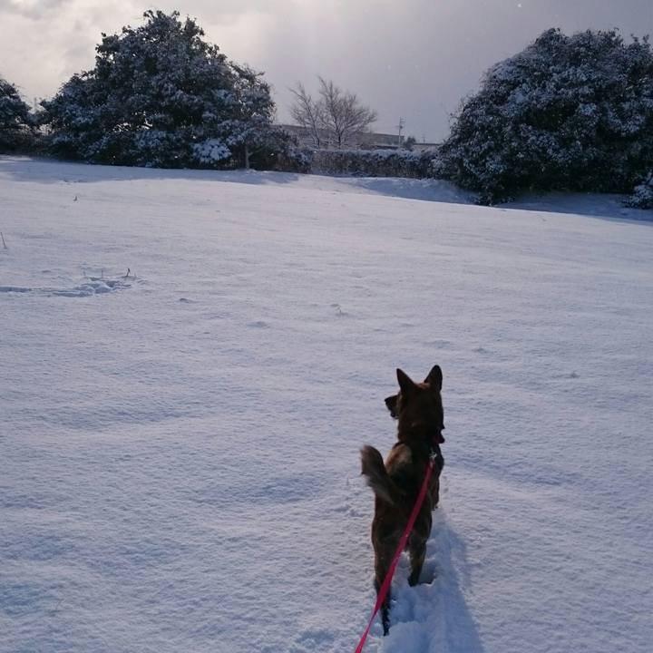 Fa14a3db 6d67 4b9e aa14 5d4c2a8ea497