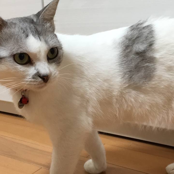 Fa14ee41 aa84 468a 8929 929089e7c157