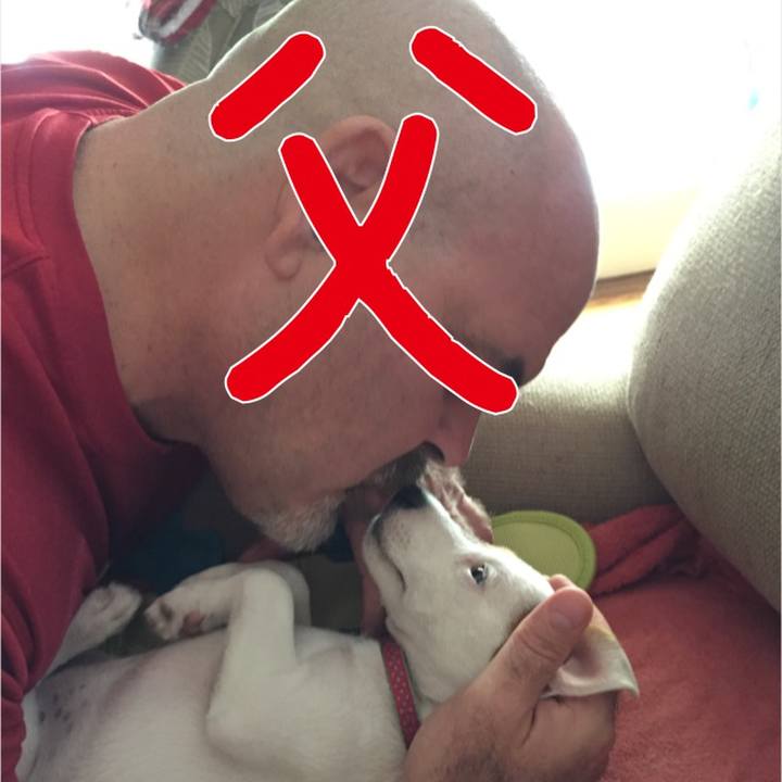 Fa1553ff d121 45ad a89a 909194650138