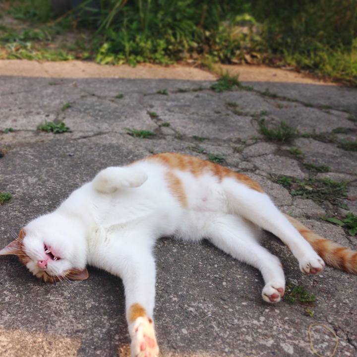 Fa15f0fd 6dd7 428c 8f93 891b79e3d11f