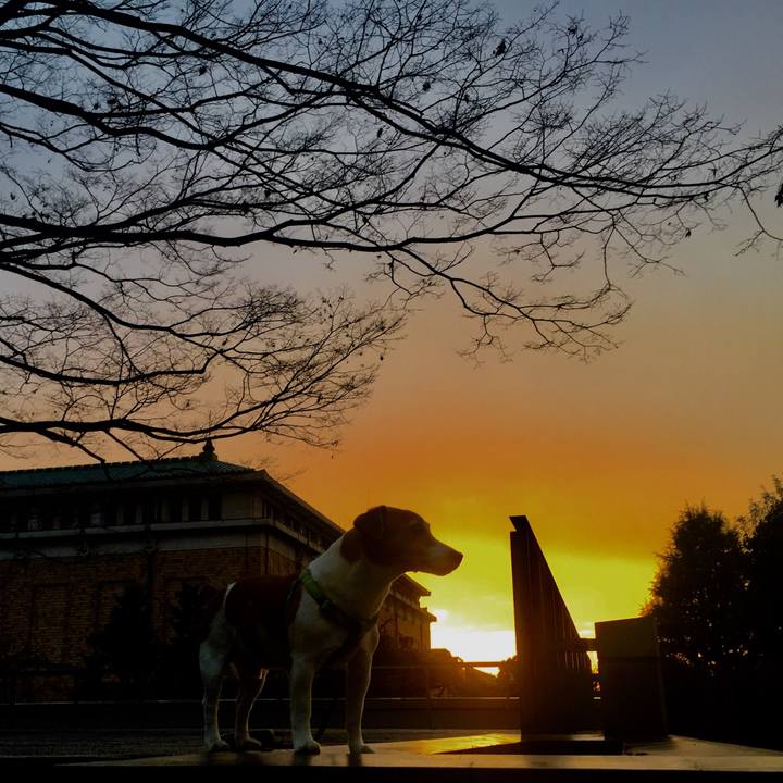 Fa163b13 b52c 44ce b7f5 d8b13939ce3b