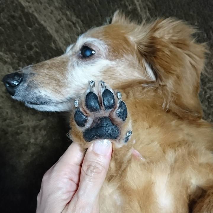 Fa17ebef 1b05 4187 9476 73ab20fe5acf